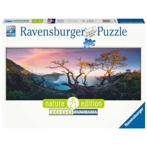 Ravensburger Puzzle 40055556333 Jeu de Puzzle 1000 pièce(s), 17094 - Publicité