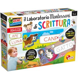 Lisciani Montessori Maxi Laboratorio Di Scrittura