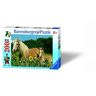 Ravensburger Kinderpuzzle 12628 Pferdeglück Pferde-Puzzle für Kinder ab 8 Jahren, mit 200 Teilen im XXL-Format