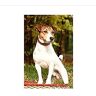 ANSNOW Animal Jack Russell Terrier Dog Jigsaw Puzzle 1000 Peckes Voor Volwassenen Families Families Classic Jigsaw Fine Pattern Picture Puzzle Art/Laei521/70 * 50 Cm