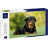 Lais Puzzle Lais Puzzel Rottweiler 2000 stuks