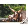 SCOOVY Wildlife Puzzle Jigsaw Puzzles for Adults & Teens Puzzles Fun Puzzles Games -cow Jigsaw Puzzle Jigsaw Puzzles for Adults 500pcs (52x38cm)