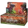 Magic The Gathering Magie: The Gathering The Brothers' War Draft Booster Box, 36 Packs