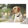 SCOOVY Jigsaw Puzzles Puzzles for Adults,Jigsaw Puzzles for Adults,Jigsaw Puzzle for Teens & Adults Dog Puzzle Toy Wild Animal Jigsaw Puzzles for Adults 500pcs (52x38cm)