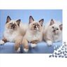 SCOOVY Jigsaw Puzzles Personalised Jigsaw Puzzle 500pcs (52x38cm) Jigsaw Puzzle Make Your Own Customised Jigsaw Puzzle With Your Image Choose Between 1000/500/300 Pieces-cat Puzzle