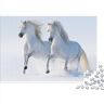 LENTLY D'anniversaire De Noël White Paard Casse-tête Anti-Stress Pour Adult Jouets Familiaux Stimulerende Cadeau D'anniversaire De Noël Cadeau D'anniversaire De Noël 300 stuks (40 x 28 cm)