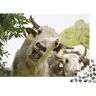 SCOOVY Wildlife Puzzle Jigsaw Puzzles for Adults   Cow Jigsaw Puzzle Puzzles for Adults Teens Jigsaw   Cow Jigsaw Puzzle Puzzles