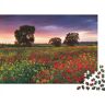 YTPONBCSTUG Landschap Volwassen Puzzel 500 P Puzzel Foto van Aarde Natuur Voor Volwassenen Puzzel 500st (52x38cm)