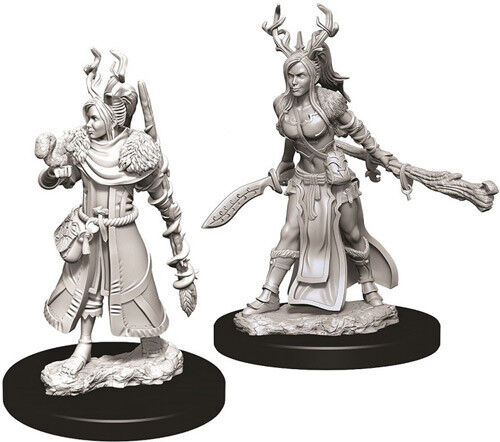 D&D Figur Nolzur Human Druid Female Nolzur's Marvelous Miniatures - Umalt