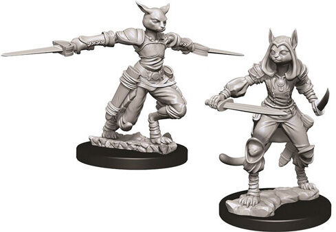 D&D Figur Nolzur Tabaxi Rogue Female Nolzur's Marvelous Miniatures - Umalt