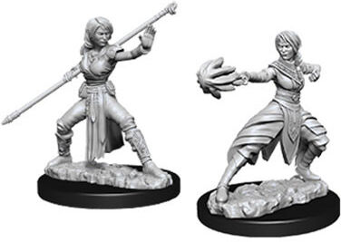 D&D Figur Nolzur Half-Elf Monk Female Nolzur's Marvelous Minitaures - Umalt