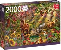 Jumbo Puslespill 2000 Deler Magic Forest