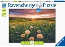 Ravensburger Puslespill 500 Deler Dandelions in Sunset