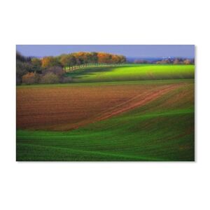 dcobs Jigsaw Puzzle 1000 Pieces for Adults，Autumn farm field, trees,beautiful scenery，cardboard Puzzle - Unique Suitable for Teenagers and Adults（38x26cm）-A193