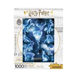 AQUARIUS Harry Potter 65346 Puzzle, Multi-Colour