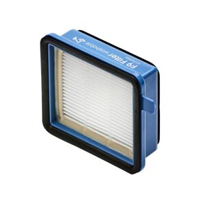 AEG AEF160 - FX9-V Allergy Plus Filter 9009230435