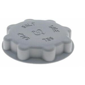 HOTPOINT ARISTON Salt Cap for Hotpoint/Indesit/Scholtes Dishwasher