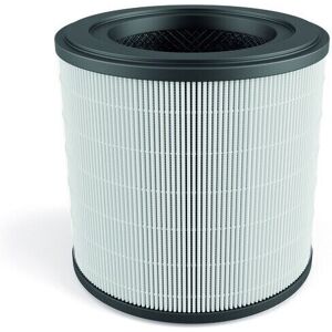 Electrolux EFFBRZ2 Breeze-filter