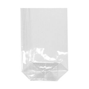 Starpak 300 Bodenbeutel, PP 15 cm x 10 cm x 3,5 cm transparent