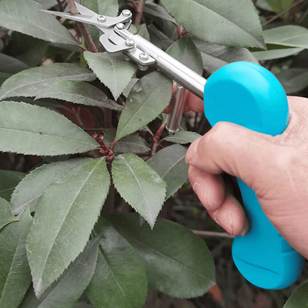 Mounteen Pointed Gardening Scissors