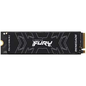 Kingston Technology 500G FURY RENEGADE M.2 2280 NVMe SSD - Publicité