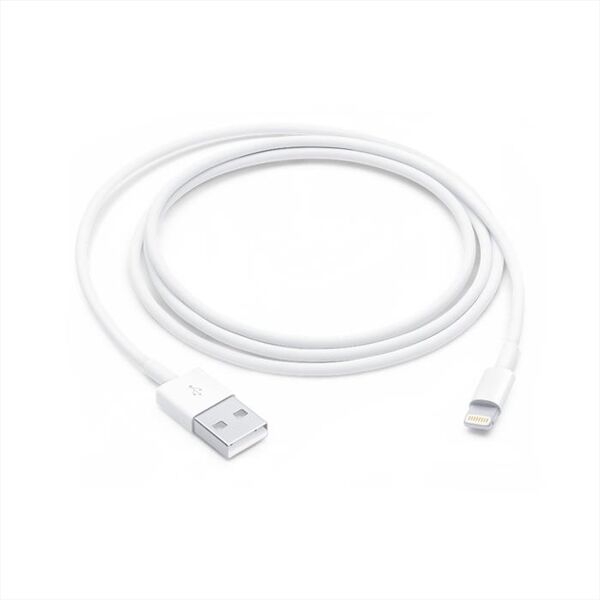 apple cavo da lightning a usb (1 m)