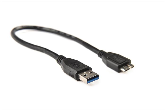 AAAMAZE Cavo Micro Usb Per Hd 30 Cm