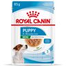 Royal Canin Size Royal Canin Mini Puppy in Soße - 48 x 85 g