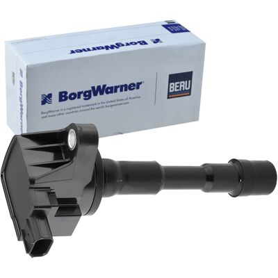 Borgwarner ZSE291 Zündspule - Zündspule Borgwarner ZSE291 Zündspule - Zündspule