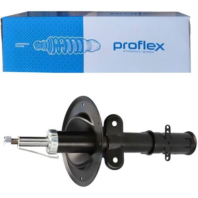 PROFLEX AUTOMOTIVE Proflex Gas-stoßdämpfer Vorne Passend Für Chrysler Voyager Dodge Caravan Px5-f: Stoßdämpfer Abakus: 23201093 Al-ko: 302593 Ap Xenergy: X335334 Ashika: PROFLEX AUTOMOTIVE Proflex Gas-stoßdämpfer Vorne Passend Für Chrysler Voyager Dodge Caravan Px5-f: Stoßdämpfer Abakus: 23201093 Al-ko: 302593 Ap Xenergy: X335334 Ashika: