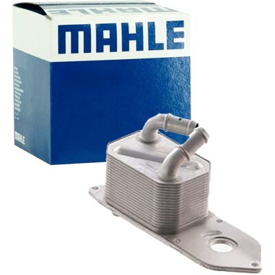 Mahle Ölkühler Mit Dichtungen Ohne Ölfiltergehäuse Passend Für Ford Tourneo: Ölkühler, Motoröl Aks Dasis: 096016n Ava Clever Choice: Fd3666 Bga: Co231 Mahle Ölkühler Mit Dichtungen Ohne Ölfiltergehäuse Passend Für Ford Tourneo: Ölkühler, Motoröl Aks Dasis: 096016n Ava Clever Choice: Fd3666 Bga: Co231