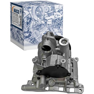 Vaico Motorölpumpe Ölpumpe Passend Für Bmw 3 5 7 X3 X5 X6 V20-4880: Ölpumpe Ashika: 1570000030 Bmw: 11417805316 Bmw: 7805316 Bogap: B1410112 Borsehung Vaico Motorölpumpe Ölpumpe Passend Für Bmw 3 5 7 X3 X5 X6 V20-4880: Ölpumpe Ashika: 1570000030 Bmw: 11417805316 Bmw: 7805316 Bogap: B1410112 Borsehung