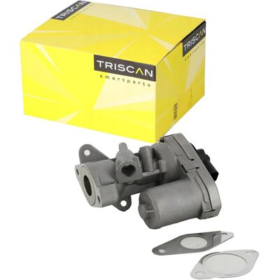 TRISCAN 8813 10002 Elektrische EGR-Ventil - EGR-Ventil TRISCAN 8813 10002 Elektrische EGR-Ventil - EGR-Ventil