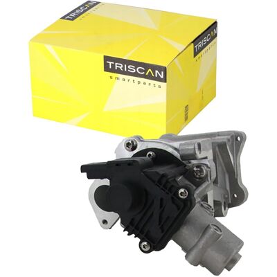 TRISCAN 8813 10007 Elektrische EGR-Ventil mit Dichtungen TRISCAN 8813 10007 Elektrische EGR-Ventil mit Dichtungen