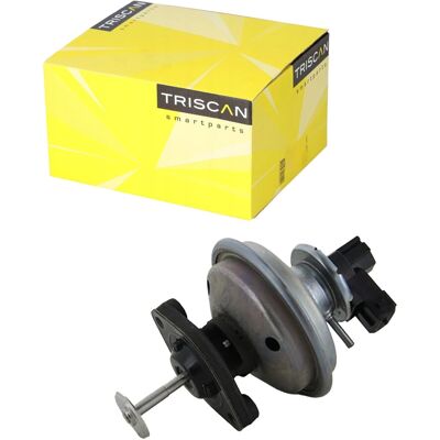 TRISCAN 8813 11002 EGR Ventil - Pneumatisch-elektrischer Betrieb TRISCAN 8813 11002 EGR Ventil - Pneumatisch-elektrischer Betrieb