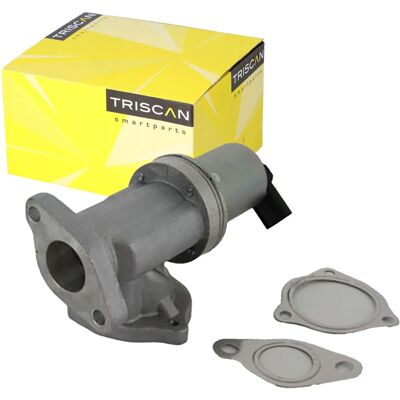 TRISCAN 8813 43002 EGR-Ventil mit Dichtungen - EGR TRISCAN 8813 43002 EGR-Ventil mit Dichtungen - EGR