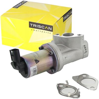 TRISCAN 8813 43021 EGR-Ventil aus Aluminium - EGR, Abgas, mit Dichtungen TRISCAN 8813 43021 EGR-Ventil aus Aluminium - EGR, Abgas, mit Dichtungen