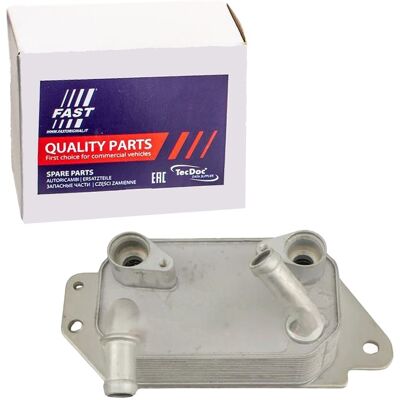 Fast Ölkühler Motoröl Kühler Passend Für Ford Tourneo Transit Ft10733: Ölkühler, Motoröl Birth: 80754 Climtex: Ch8256 Fast: Ft10733 Ford: 5165817 Ford Fast Ölkühler Motoröl Kühler Passend Für Ford Tourneo Transit Ft10733: Ölkühler, Motoröl Birth: 80754 Climtex: Ch8256 Fast: Ft10733 Ford: 5165817 Ford