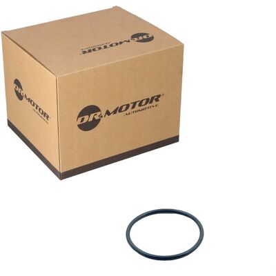 Dr.Motor Automotive Dr.motor Dichtung Thermostat Passend Für Alpina B3 B4 Audi A1 A3 A6 Q2 Q3 Q5 Tt: Dichtung, Thermostat Ajusa: 16117100 Audi: Wht007713 Bmw: 11537584829 Dr.Motor Automotive Dr.motor Dichtung Thermostat Passend Für Alpina B3 B4 Audi A1 A3 A6 Q2 Q3 Q5 Tt: Dichtung, Thermostat Ajusa: 16117100 Audi: Wht007713 Bmw: 11537584829