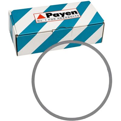 Payen Dichtung Abgasrohr Passend Für Bmw 1 2 3 4 5 6 7 I8 X1 X2 X3 X4 X5 Z4 Mini: Dichtung, Abgasrohr Ajusa: 01335100 Bmw: 18307581970 Elring: 737660 Payen Dichtung Abgasrohr Passend Für Bmw 1 2 3 4 5 6 7 I8 X1 X2 X3 X4 X5 Z4 Mini: Dichtung, Abgasrohr Ajusa: 01335100 Bmw: 18307581970 Elring: 737660