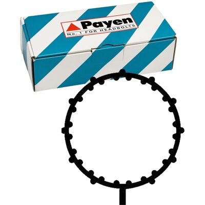 Payen Dichtung Ansaugkrümmer Passend Für Honda City Civic Jazz Jd5838: Dichtung, Ansaugkrümmer Ajusa: 13187100 Bga: Mg8522 Elring: 452120 Honda: 17105 Payen Dichtung Ansaugkrümmer Passend Für Honda City Civic Jazz Jd5838: Dichtung, Ansaugkrümmer Ajusa: 13187100 Bga: Mg8522 Elring: 452120 Honda: 17105