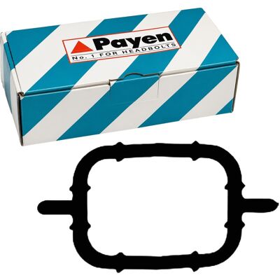 PAYEN BMW Opel Rover Ansaugkrümmerdichtung - Ansaugkrümmerdichtung PAYEN BMW Opel Rover Ansaugkrümmerdichtung - Ansaugkrümmerdichtung