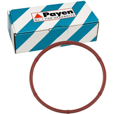 Payen Dichtung Ansaugkrümmergehäuse Passend Für Polestar Volvo S60 S80 S90 V40 V: Dichtung, Ansaugkrümmergehäuse Ajusa: 01547200 Elring: 464230 Fa1: 5 Payen Dichtung Ansaugkrümmergehäuse Passend Für Polestar Volvo S60 S80 S90 V40 V: Dichtung, Ansaugkrümmergehäuse Ajusa: 01547200 Elring: 464230 Fa1: 5