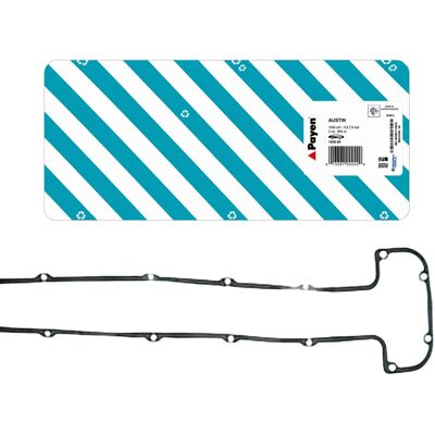 Payen Ventildeckeldichtung Rechts Passend Für Daimler 2.8 Jaguar Xj Xjsc Jm536: Dichtung, Zylinderkopfhaube Jaguar: C29428 Jaguar: Ebc9527 Payen: Jm53 Payen Ventildeckeldichtung Rechts Passend Für Daimler 2.8 Jaguar Xj Xjsc Jm536: Dichtung, Zylinderkopfhaube Jaguar: C29428 Jaguar: Ebc9527 Payen: Jm53