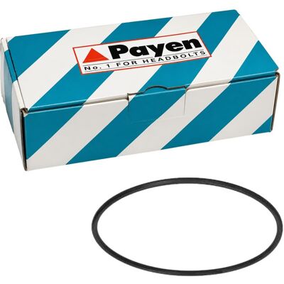 Payen Simmerring Wellendichtring Ölpumpe Passend Für Fiat 126 Cinquecento: Wellendichtring, Ölpumpe Fiat: 4010395 Fiat: 987112 Original Imperium: 2611 Payen Simmerring Wellendichtring Ölpumpe Passend Für Fiat 126 Cinquecento: Wellendichtring, Ölpumpe Fiat: 4010395 Fiat: 987112 Original Imperium: 2611