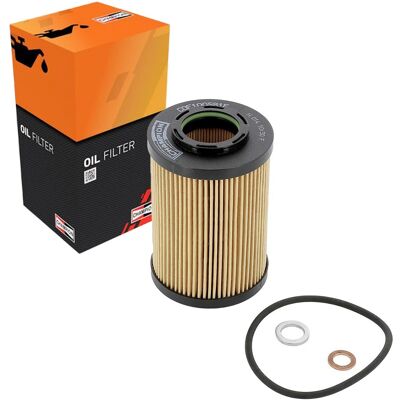 Champion Ölfilter Filtereinsatz Passend Für Hyundai Grandeur I30 Santa Sonata: Ölfilter 1a First Automotive: E50256 1a First Automotive: E50258 Ackoja Champion Ölfilter Filtereinsatz Passend Für Hyundai Grandeur I30 Santa Sonata: Ölfilter 1a First Automotive: E50256 1a First Automotive: E50258 Ackoja