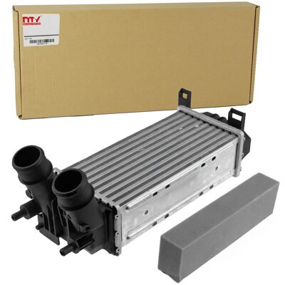Nty Ladeluftkühler Turbokühler Passend Für Ford Fiesta Cng-fr-045: Ladeluftkühler Abakus: 0170180024 Aks Dasis: 097045n Bogap: F4220125 Era: 672235 Fo Nty Ladeluftkühler Turbokühler Passend Für Ford Fiesta Cng-fr-045: Ladeluftkühler Abakus: 0170180024 Aks Dasis: 097045n Bogap: F4220125 Era: 672235 Fo