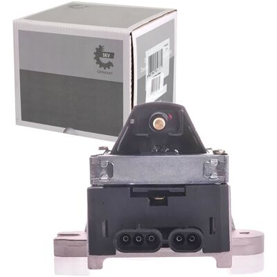 Esen Skv Zündspule Zündmodul Passend Für Peugeot 309 405 Renault 19 21 25 Clio: Zündspule Ashika: Bo0120jm Borgwarner (beru): Zse005 Bosch: 0221600050 Esen Skv Zündspule Zündmodul Passend Für Peugeot 309 405 Renault 19 21 25 Clio: Zündspule Ashika: Bo0120jm Borgwarner (beru): Zse005 Bosch: 0221600050