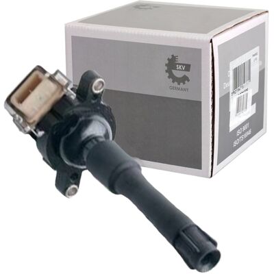 ESEN SKV Skv Zündspule Passend Für Bmw 3 5 7 8 X5 Z3 Z8 Land Rover Freelander Range Mg: Zündspule Abakus: 12201003 Aic: 51374 Ap Xenergy: Xe5018 Ap Xenergy: Xe ESEN SKV Skv Zündspule Passend Für Bmw 3 5 7 8 X5 Z3 Z8 Land Rover Freelander Range Mg: Zündspule Abakus: 12201003 Aic: 51374 Ap Xenergy: Xe5018 Ap Xenergy: Xe