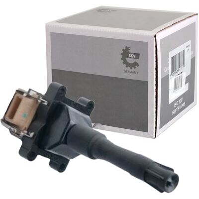 ESEN SKV Skv Zündspule Passend Für Bmw 3 5 7 8 03skv219: Zündspule Abakus: 12201013 Aic: 51375 Ashika: Bo0116jm Astemo: 2503811 Bbt: Ic09100 Bbt: Ic09102 Bmw: ESEN SKV Skv Zündspule Passend Für Bmw 3 5 7 8 03skv219: Zündspule Abakus: 12201013 Aic: 51375 Ashika: Bo0116jm Astemo: 2503811 Bbt: Ic09100 Bbt: Ic09102 Bmw: